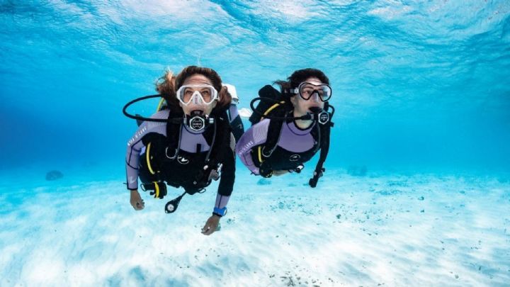 Learn to Scuba Dive in Sydney
